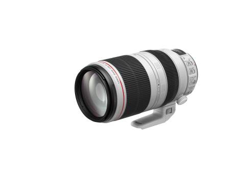 Canon 100-400mm lens rental